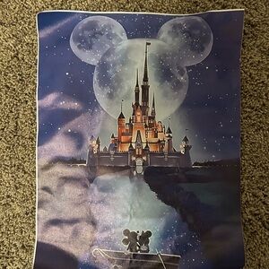 Disney Castle Art Print